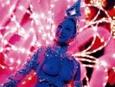 Illuminations de Paris + Spectacle du Moulin Rouge (en autocar)