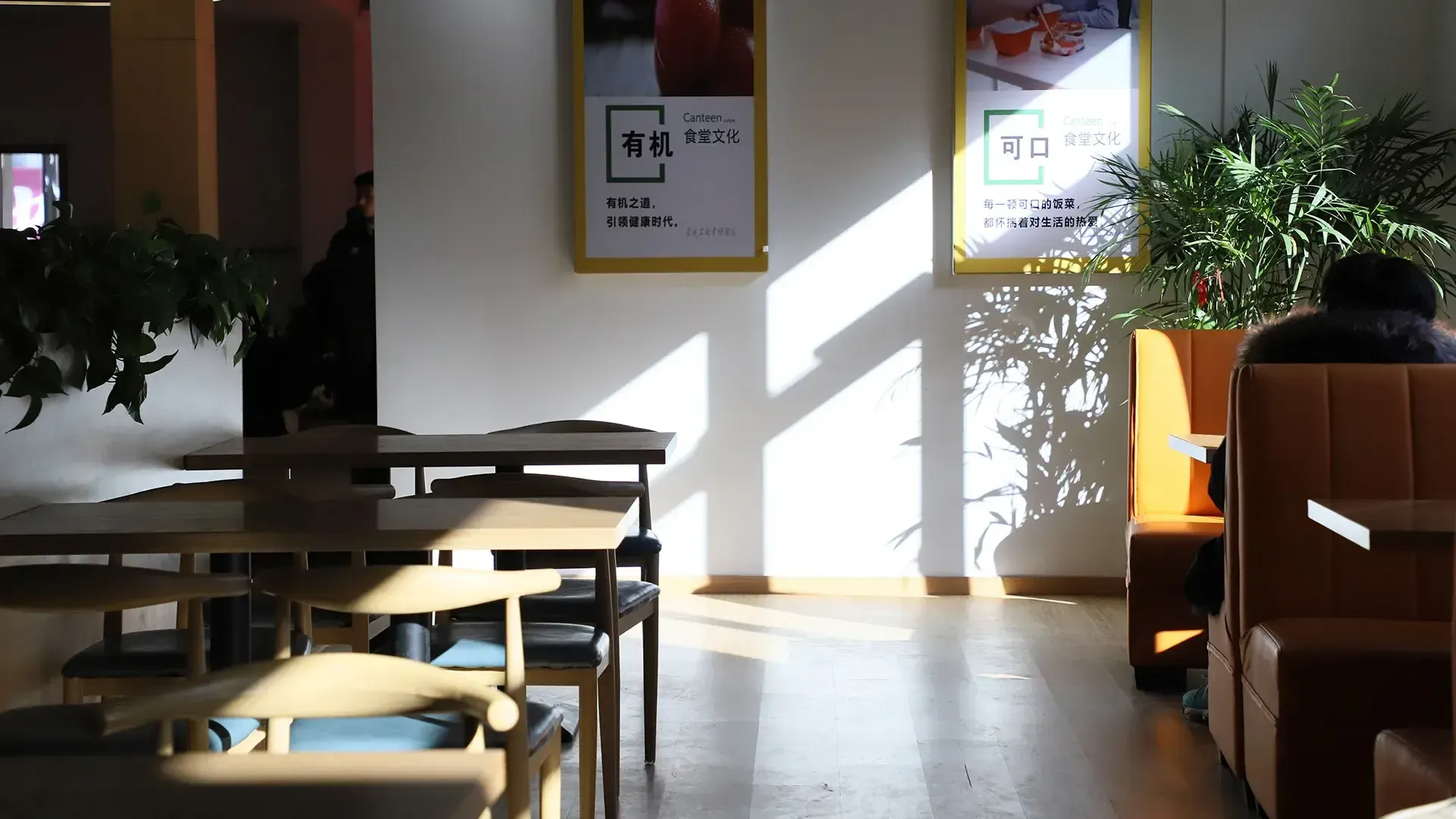 毕业满足条件者将获得两个文凭
