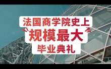 项目类型